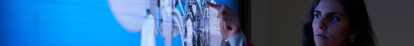 Bild zu Finance Analyst